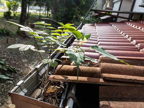 Reparación de canales Medellín